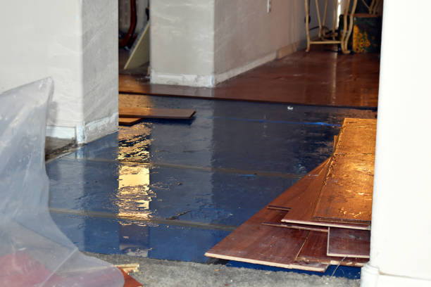 Professional Burst Pipe Water Damage technician working in Rawson, OH